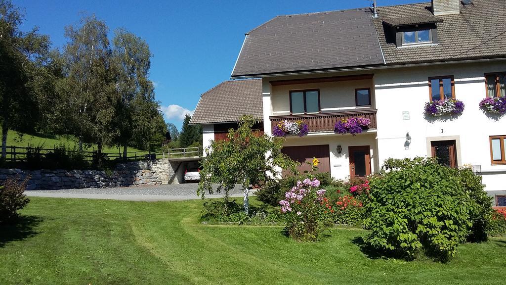 Apartmán Haus Pfarrkirchner Mauterndorf  Exteriér fotografie
