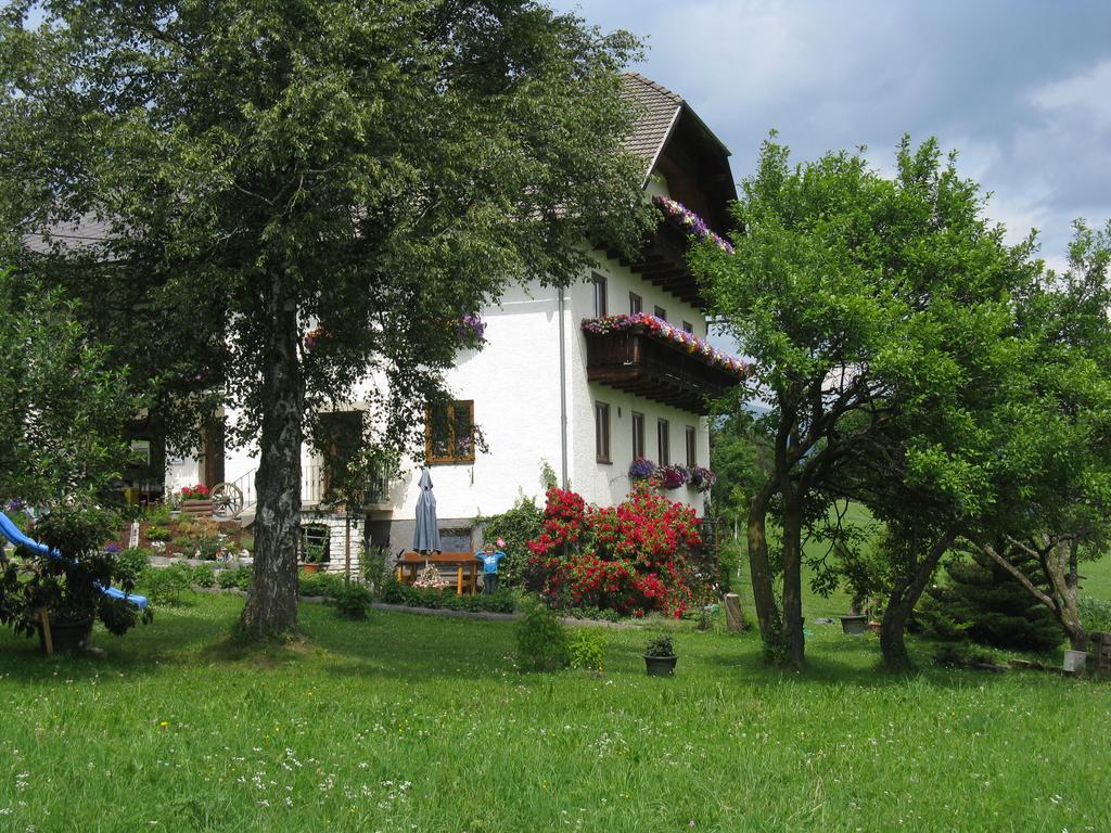 Apartmán Haus Pfarrkirchner Mauterndorf  Exteriér fotografie